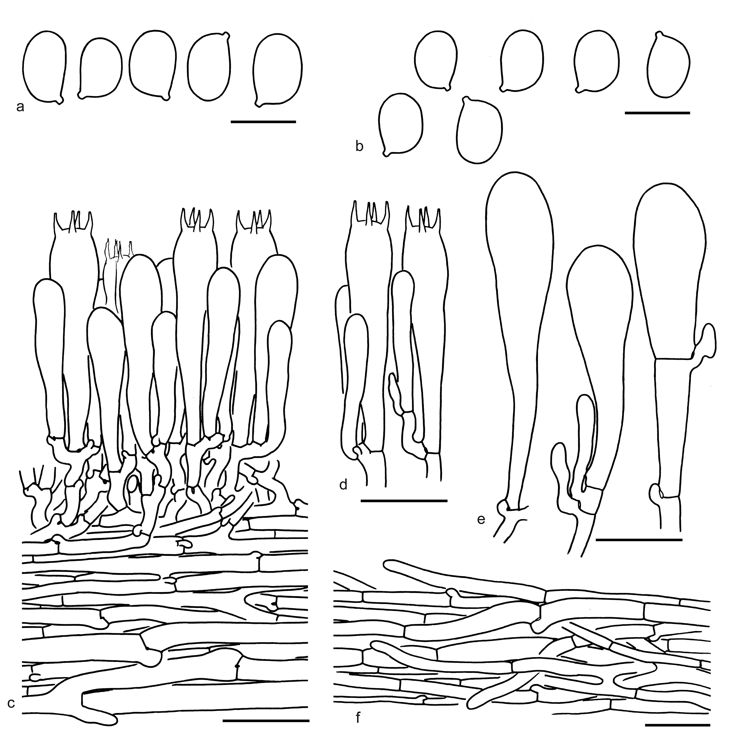 Figure 81